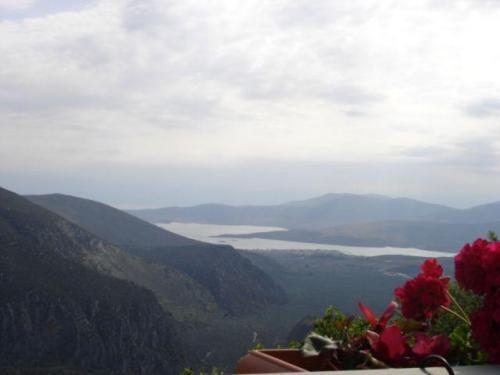 Sun View Guesthouse Delphi ภายนอก รูปภาพ